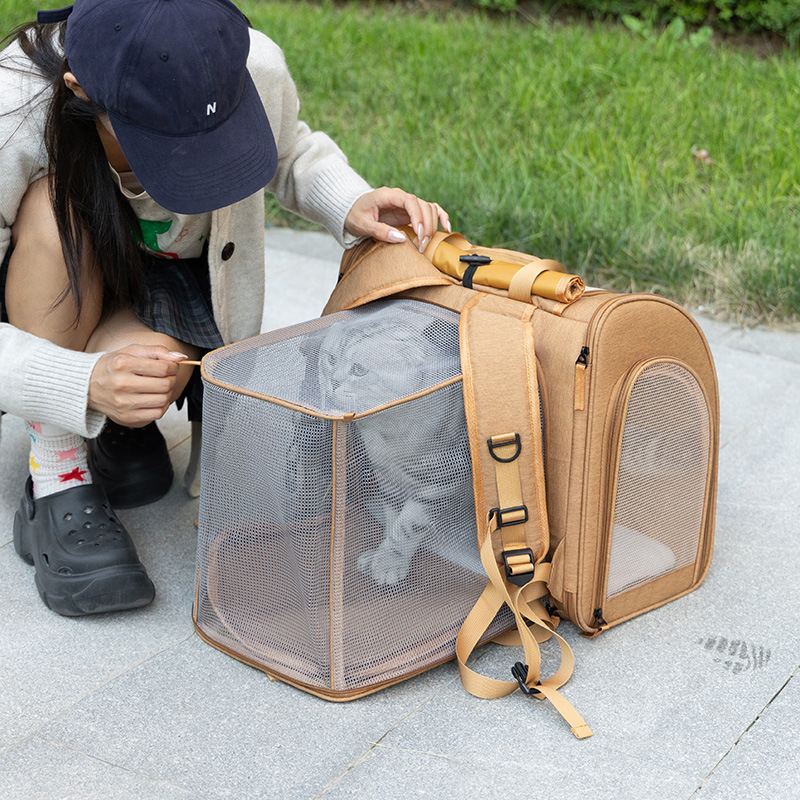Portable cat bag, expandable l - Foldable Backpack Small avaliação e preço